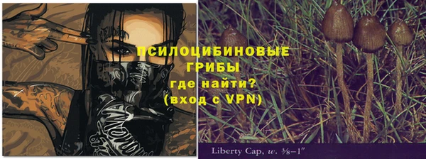 гашик Арсеньев