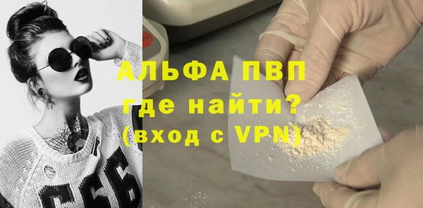 гашик Арсеньев